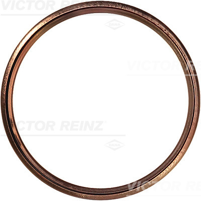 Afdichtring Reinz 41-72086-30