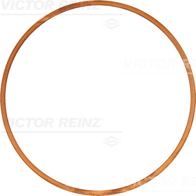 Cilinderkop pakking Reinz 61-23555-00