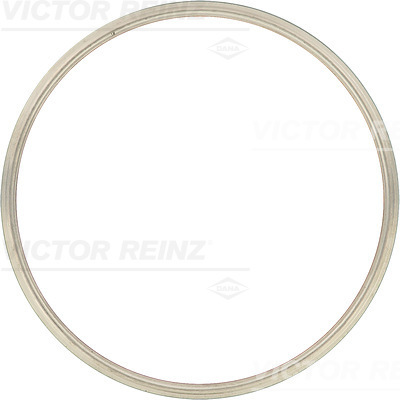 Cilinderkop pakking Reinz 61-24735-00