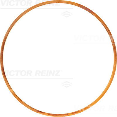 Cilinderkop pakking Reinz 61-25755-10