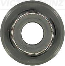 Klepsteeldichting Reinz 70-10139-00