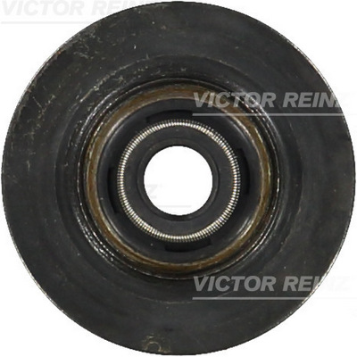 Klepsteeldichting Reinz 70-10437-00