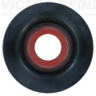 Klepsteeldichting Reinz 70-19595-00