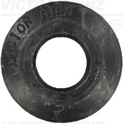 Klepsteeldichting Reinz 70-33589-00