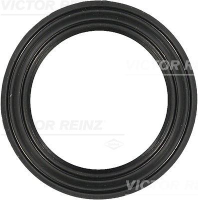 Pakking Reinz 71-37341-00