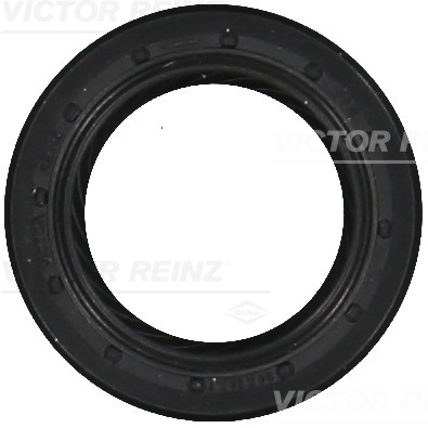 Nokkenas keerring Reinz 81-10590-00