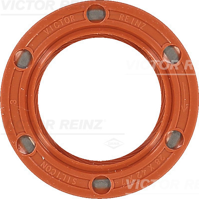 Nokkenas keerring Reinz 81-33653-10