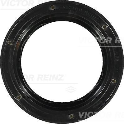 Nokkenas keerring Reinz 81-35077-00