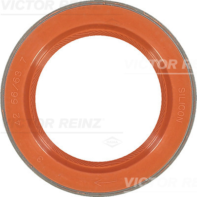 Krukaskeerring Reinz 81-35876-00