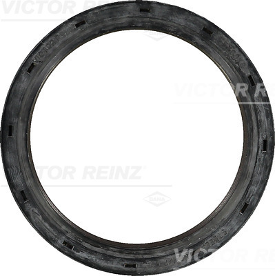 Nokkenas keerring Reinz 81-36228-00