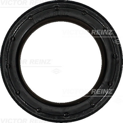 Nokkenas keerring Reinz 81-40538-00