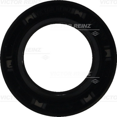 Nokkenas keerring Reinz 81-42734-00