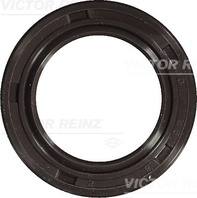 Nokkenas keerring Reinz 81-53226-00