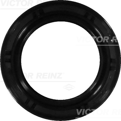 Nokkenas keerring Reinz 81-53228-00