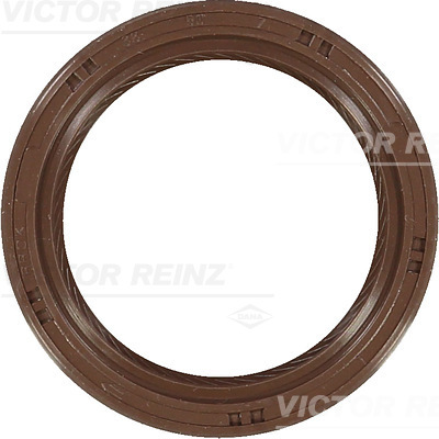 Nokkenas keerring Reinz 81-53231-00