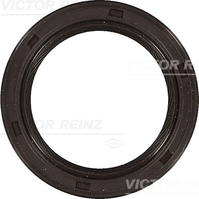 Nokkenas keerring Reinz 81-53266-00