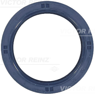 Nokkenas keerring Reinz 81-53508-00