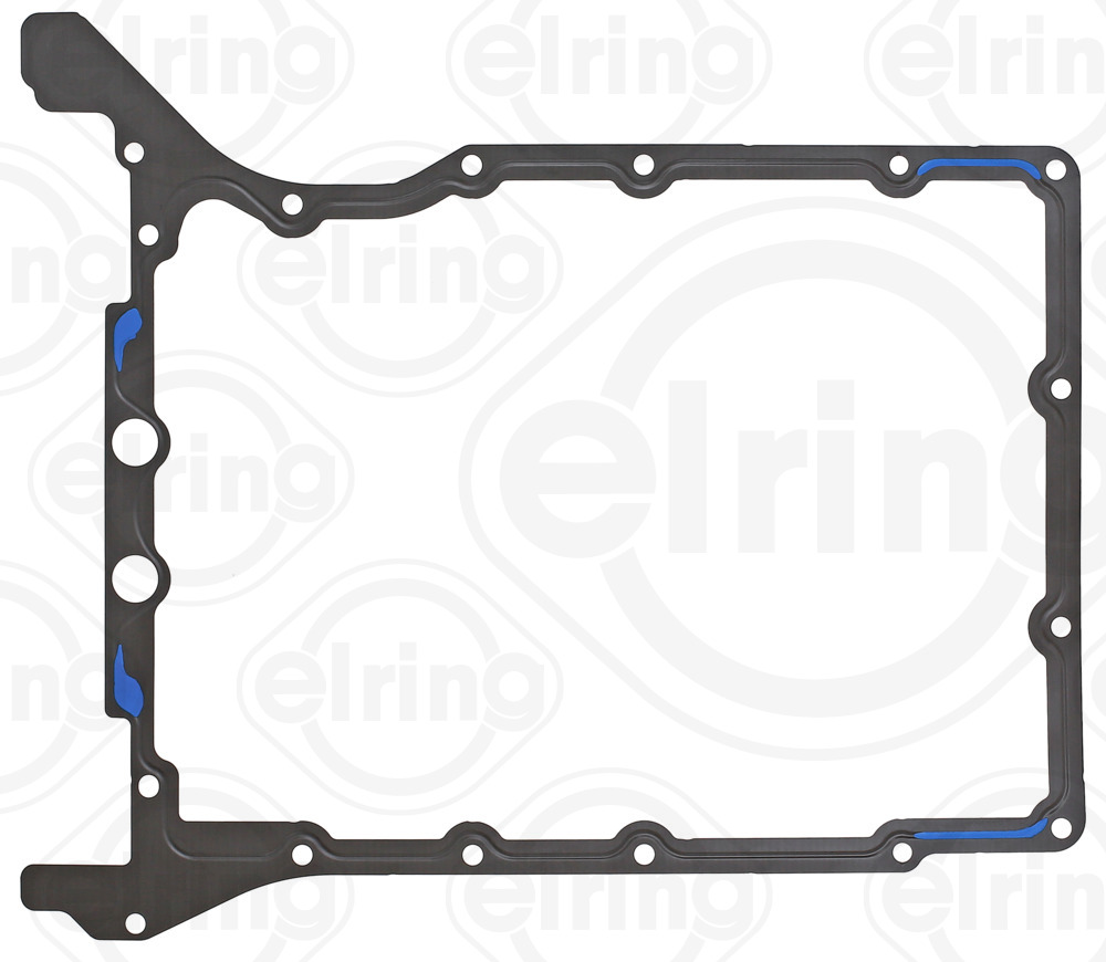 Carter pakking Elring 009.065