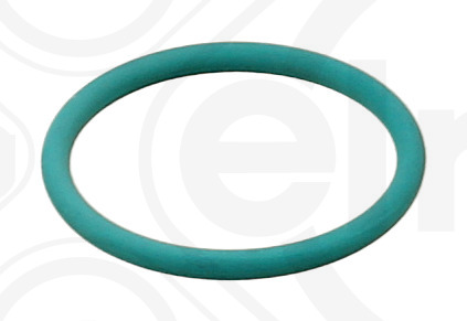 Verstuiverhouder pakking Elring 070.650