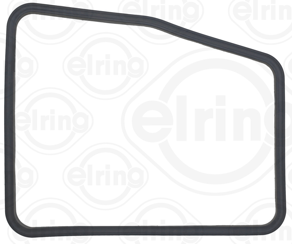 Elring Carter pakking 298.990