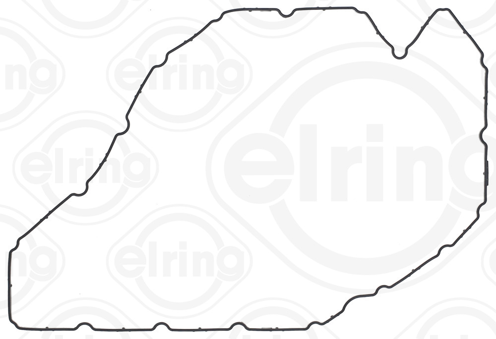 Elring Carter pakking 427.230