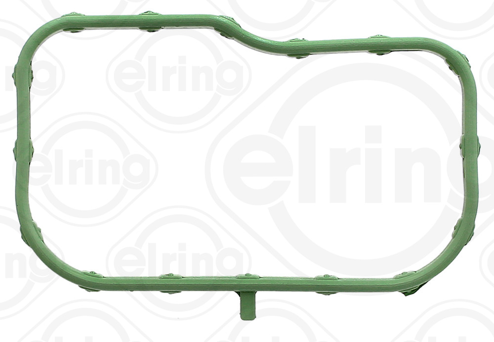 Elring Inlaatspruitstukpakking 925.820