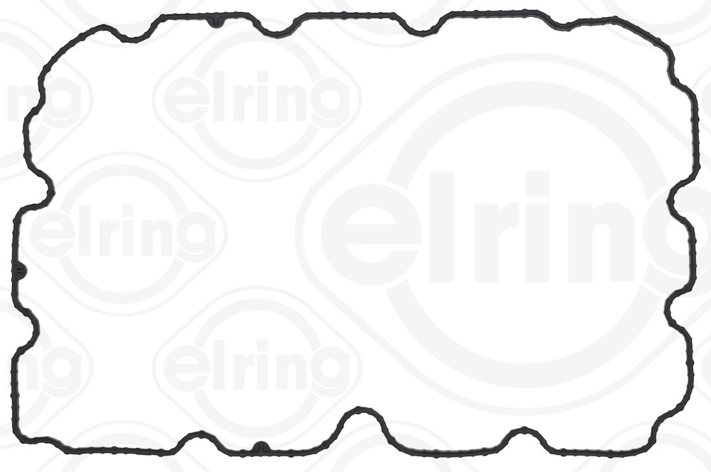 Elring Carter pakking 955.250