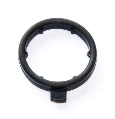 O-ring koelvloeistofflens Elring 248.230