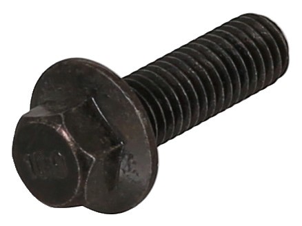 Schroef Elring 779.110