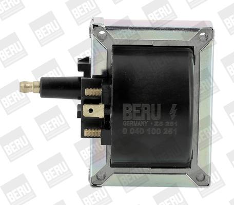 Bobine Beru ZS251