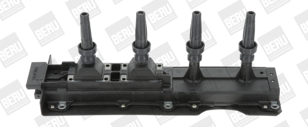 Bobine Beru ZS256