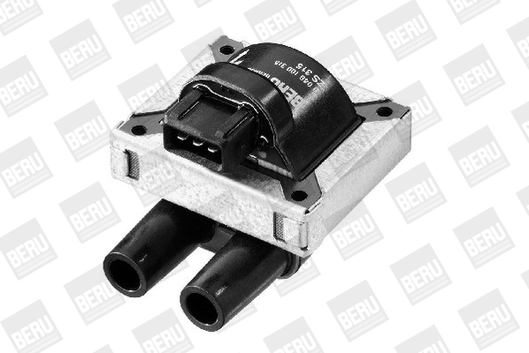 Beru Bobine ZS315