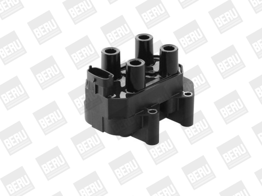 Beru Bobine ZS450