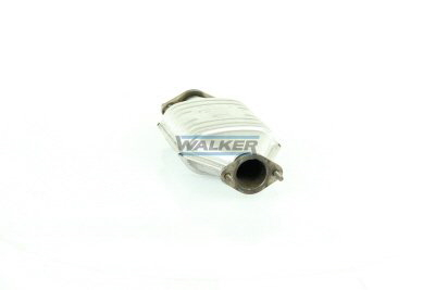 Walker Katalysator 20071