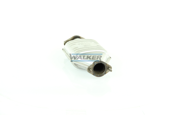 Walker Katalysator 20071