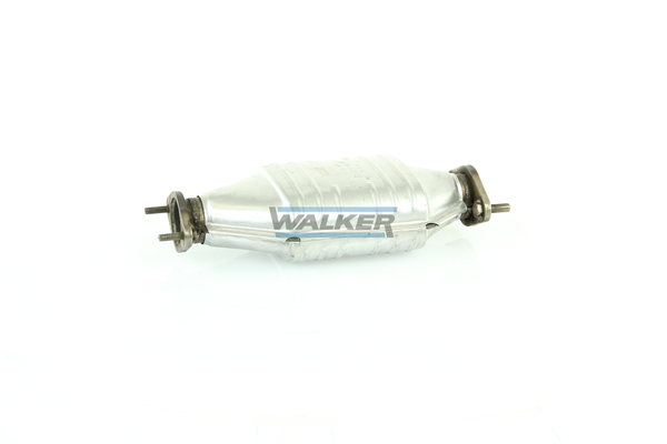 Walker Katalysator 20071