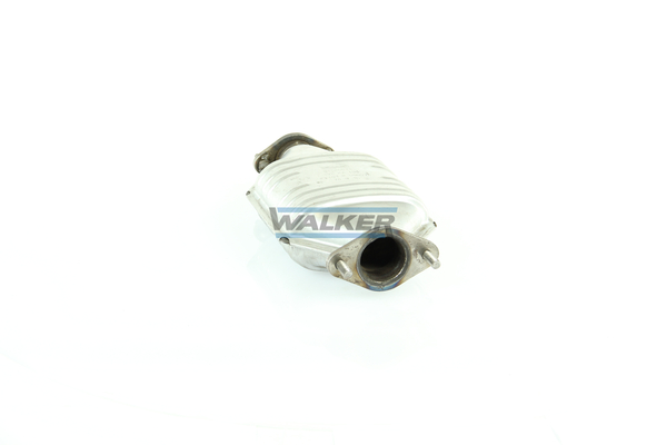 Walker Katalysator 20071