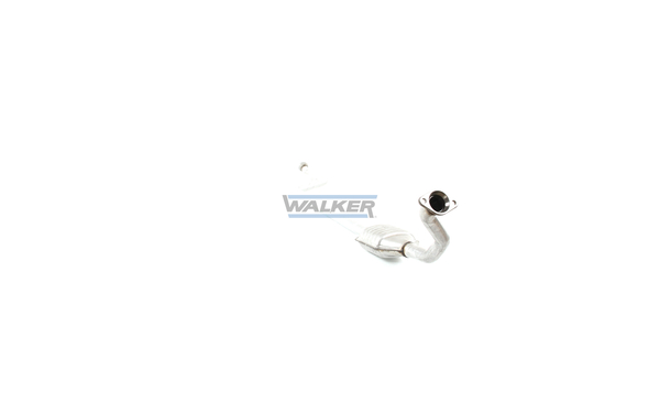 Walker Katalysator 20311