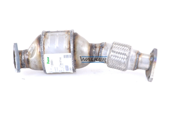Walker Katalysator 20651