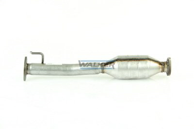 Walker Katalysator 20786