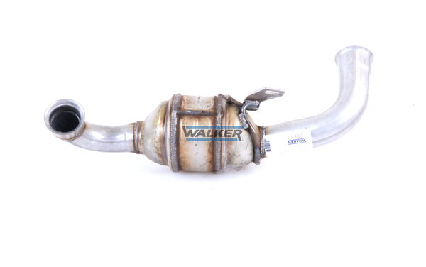 Walker Katalysator 20842