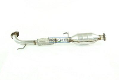 Walker Katalysator 20847