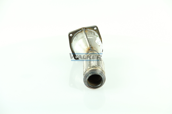 Walker Katalysator 20879