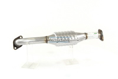 Walker Katalysator 20911