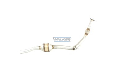 Walker Katalysator 20918