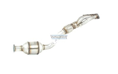 Walker Katalysator 20929