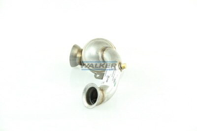 Walker Katalysator 20952