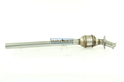 Walker Katalysator 20980