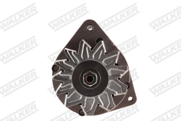 Dynamo / Alternator Walker WAL01325