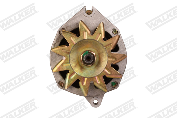 Dynamo / Alternator Walker WAL02349